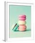 French Macarons-Incado-Framed Photographic Print