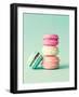 French Macarons-Incado-Framed Photographic Print