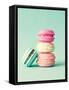 French Macarons-Incado-Framed Stretched Canvas