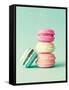 French Macarons-Incado-Framed Stretched Canvas