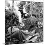 French Maquis Encampment, France, 1940-1944-null-Mounted Giclee Print