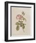 French Market Floral I-Wild Apple Portfolio-Framed Art Print