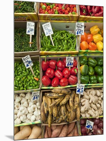 French Market, St. Helier, Channel Islands, UK-Gavin Hellier-Mounted Photographic Print