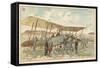 French Military Biplane-null-Framed Stretched Canvas