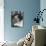 French Novelist Colette, at Desk Covered with Handwritten Notes Topped by Reading Glasses at Home-David Scherman-Premium Photographic Print displayed on a wall