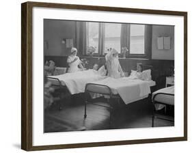 French Nurses 1930s-null-Framed Photographic Print