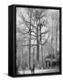 French Observation Post in a Tree, France, World War I, 1915-null-Framed Stretched Canvas