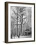 French Observation Post in a Tree, France, World War I, 1915-null-Framed Giclee Print
