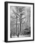 French Observation Post in a Tree, France, World War I, 1915-null-Framed Giclee Print