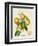 French Orange Botanical III-A. Risso-Framed Art Print