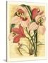 French Orchid-Samuel Curtis-Stretched Canvas