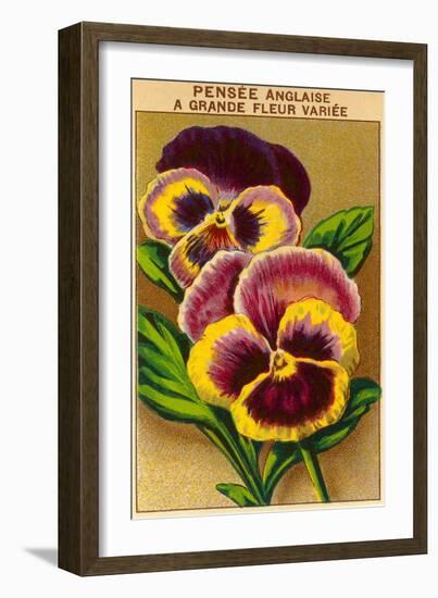 French Pansy Seed Packet-null-Framed Art Print