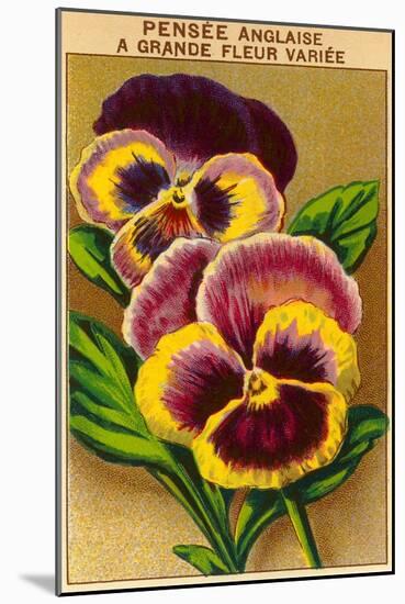 French Pansy Seed Packet-null-Mounted Art Print