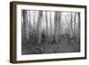 French Patrols in the Forest of Argonne, France, 1915-null-Framed Giclee Print
