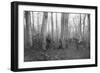 French Patrols in the Forest of Argonne, France, 1915-null-Framed Giclee Print