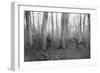 French Patrols in the Forest of Argonne, France, 1915-null-Framed Giclee Print