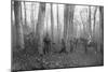 French Patrols in the Forest of Argonne, France, 1915-null-Mounted Giclee Print