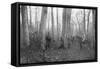 French Patrols in the Forest of Argonne, France, 1915-null-Framed Stretched Canvas