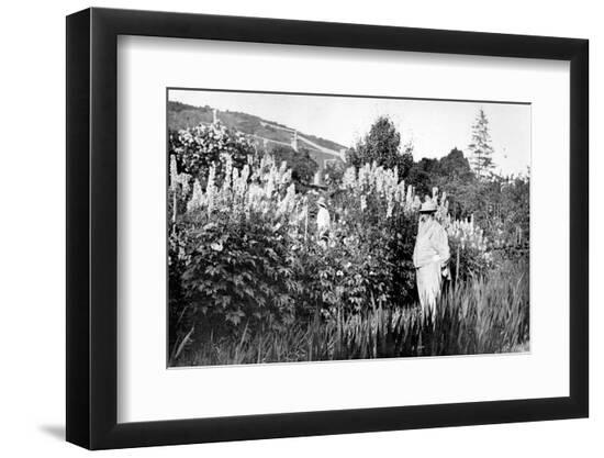 Photographic Print, , large