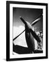 French Pilot on a Fighter Plane-null-Framed Giclee Print