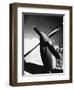 French Pilot on a Fighter Plane-null-Framed Giclee Print