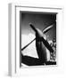 French Pilot on a Fighter Plane-null-Framed Giclee Print