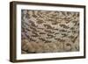 French Polynesia, Island of Rurutu. Traditional Woven Hats-Cindy Miller Hopkins-Framed Photographic Print