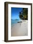 French Polynesia-Woolfy-Framed Photographic Print