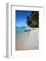 French Polynesia-Woolfy-Framed Photographic Print
