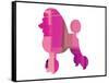 French Poodle-NaxArt-Framed Stretched Canvas