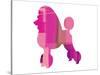 French Poodle-NaxArt-Stretched Canvas