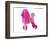 French Poodle-NaxArt-Framed Art Print