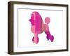 French Poodle-NaxArt-Framed Art Print