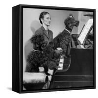 French Poodles Sitting at Piano with Woman-null-Framed Stretched Canvas