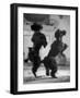 French Poodles Standing on Hind Legs-Mark Kauffman-Framed Photographic Print