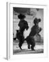 French Poodles Standing on Hind Legs-Mark Kauffman-Framed Photographic Print