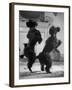 French Poodles Standing on Hind Legs-Mark Kauffman-Framed Photographic Print