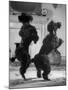 French Poodles Standing on Hind Legs-Mark Kauffman-Mounted Photographic Print