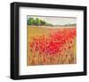 French Poppies-null-Framed Art Print