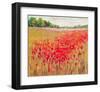 French Poppies-null-Framed Art Print