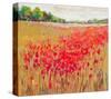 French Poppies-null-Stretched Canvas
