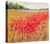 French Poppies-null-Stretched Canvas