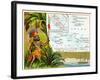 French Possessions in Oceania, C.1890-null-Framed Giclee Print