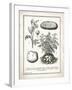 French Potatoes-Gwendolyn Babbitt-Framed Art Print