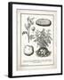 French Potatoes-Gwendolyn Babbitt-Framed Art Print