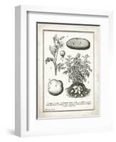 French Potatoes-Gwendolyn Babbitt-Framed Art Print