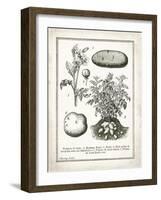 French Potatoes-Gwendolyn Babbitt-Framed Art Print