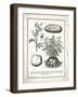 French Potatoes-Gwendolyn Babbitt-Framed Art Print