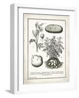 French Potatoes-Gwendolyn Babbitt-Framed Art Print