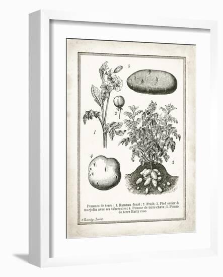 French Potatoes-Gwendolyn Babbitt-Framed Art Print